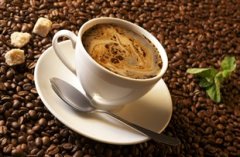 精品咖啡生豆 哥斯达黎加咖啡最新介
